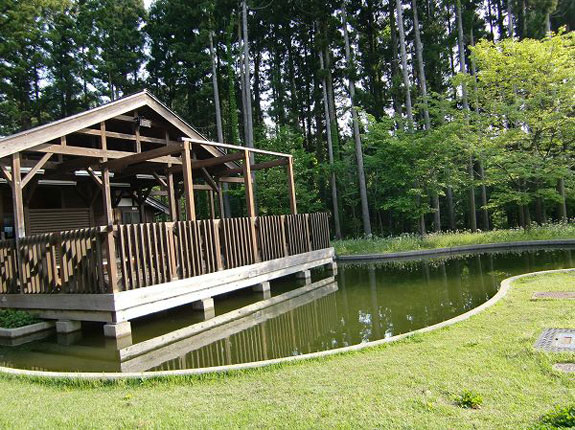 新潟県立大潟水と森公園